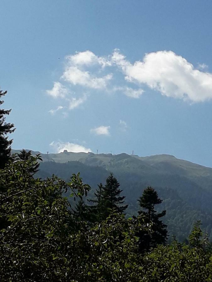 Lanobila Hotel Sinaia Kültér fotó